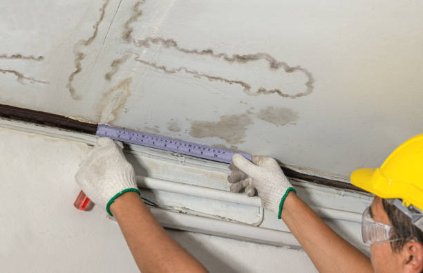 Reliable Mold Remediation contractor in Goshen, MA by Water Damage Irwin
